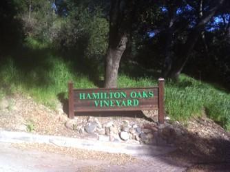 Hamilton Oaks Vineyard is tucked away in Trabuco Canyon